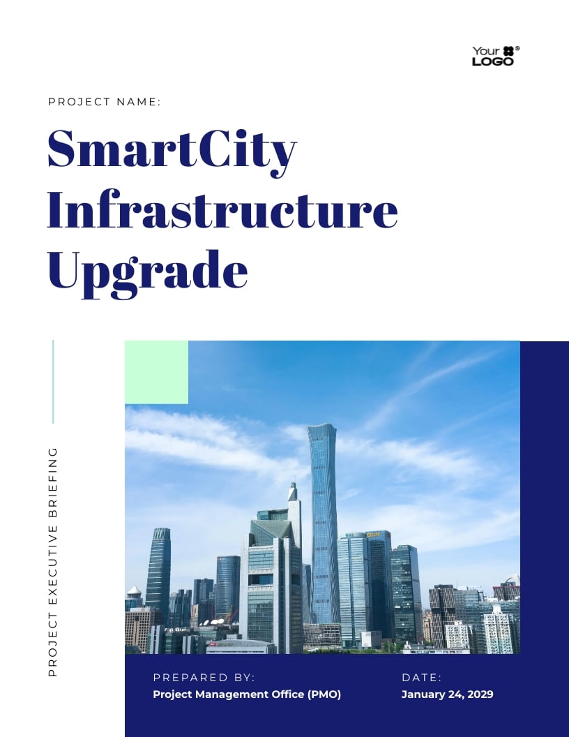 Project Executive Briefing Report Template