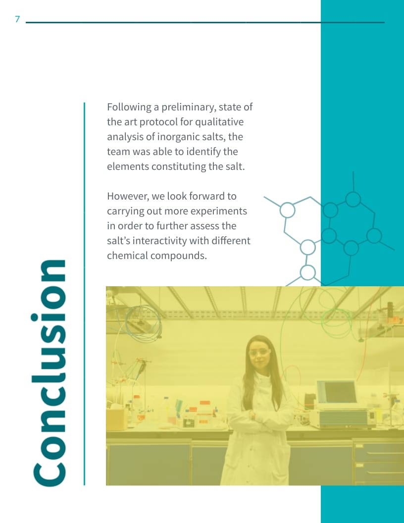 Qualitative Analysis Of Cations Lab Report Mta Production