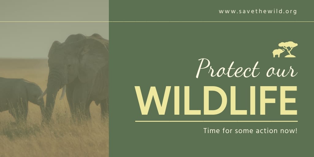 Save The Wild Template