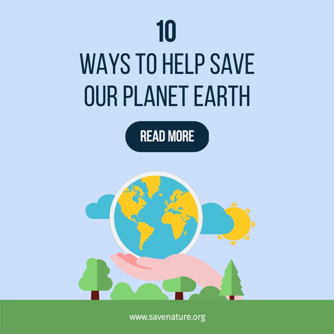 Save the Planet Square Template