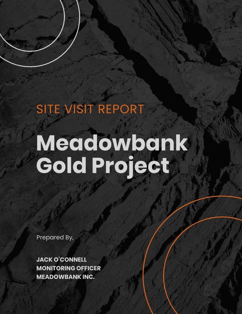 Site Visit Report Template