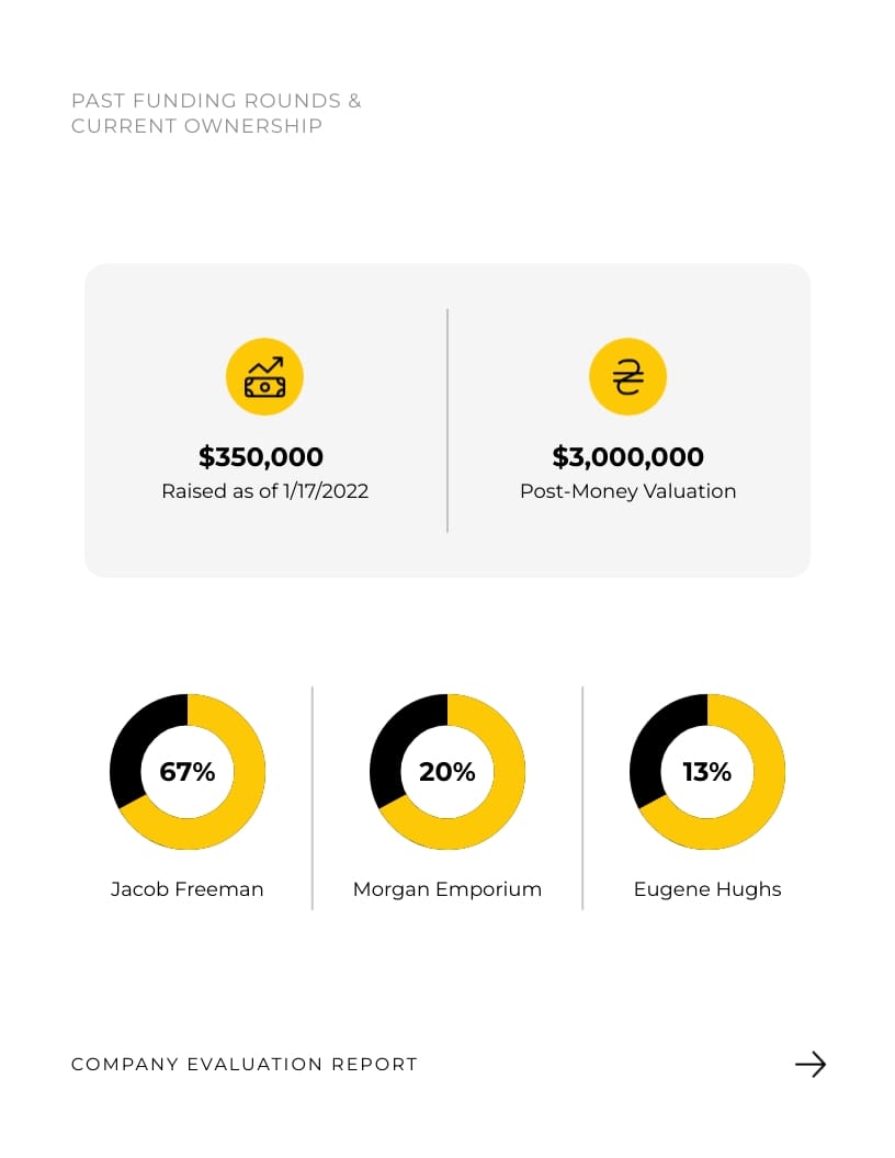 Financial Analysis Report Template | Visme