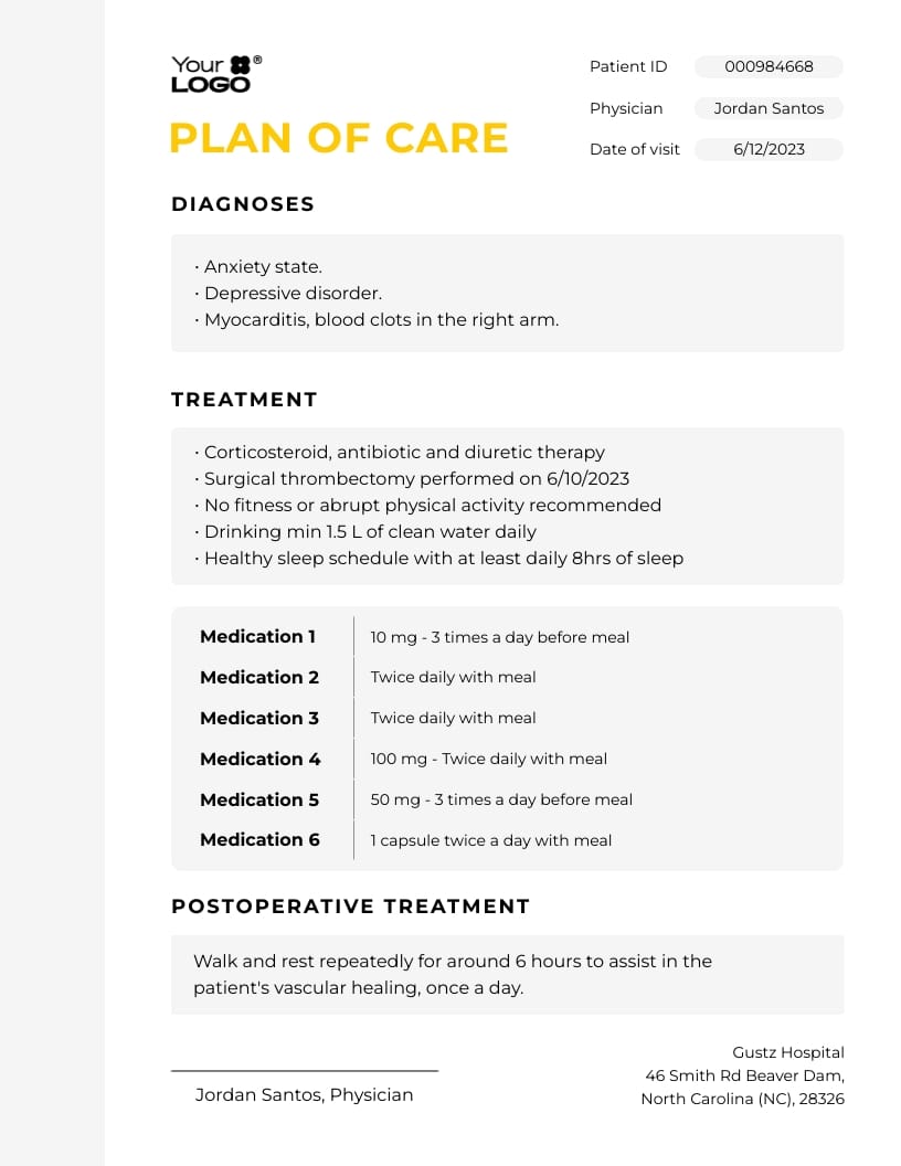 Sleek Patient Plan of Care Template