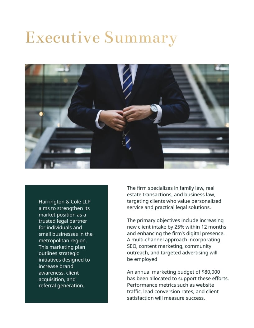 Small Law Firm Marketing Plan Template - Slide 3 Small Law Firm Marketing Plan Template - Slide 3