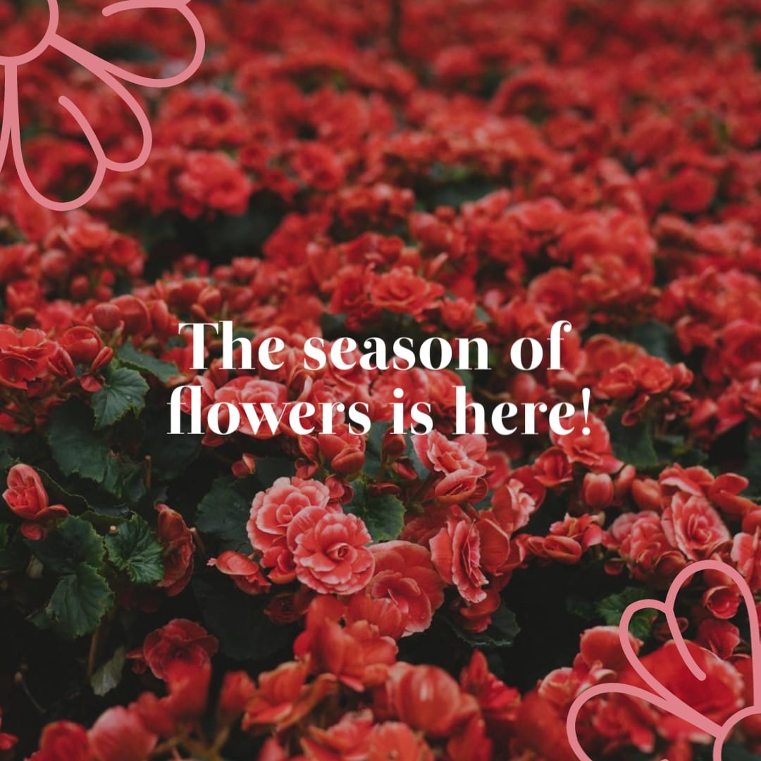 Spring Sale Instagram Video Ad Square Template