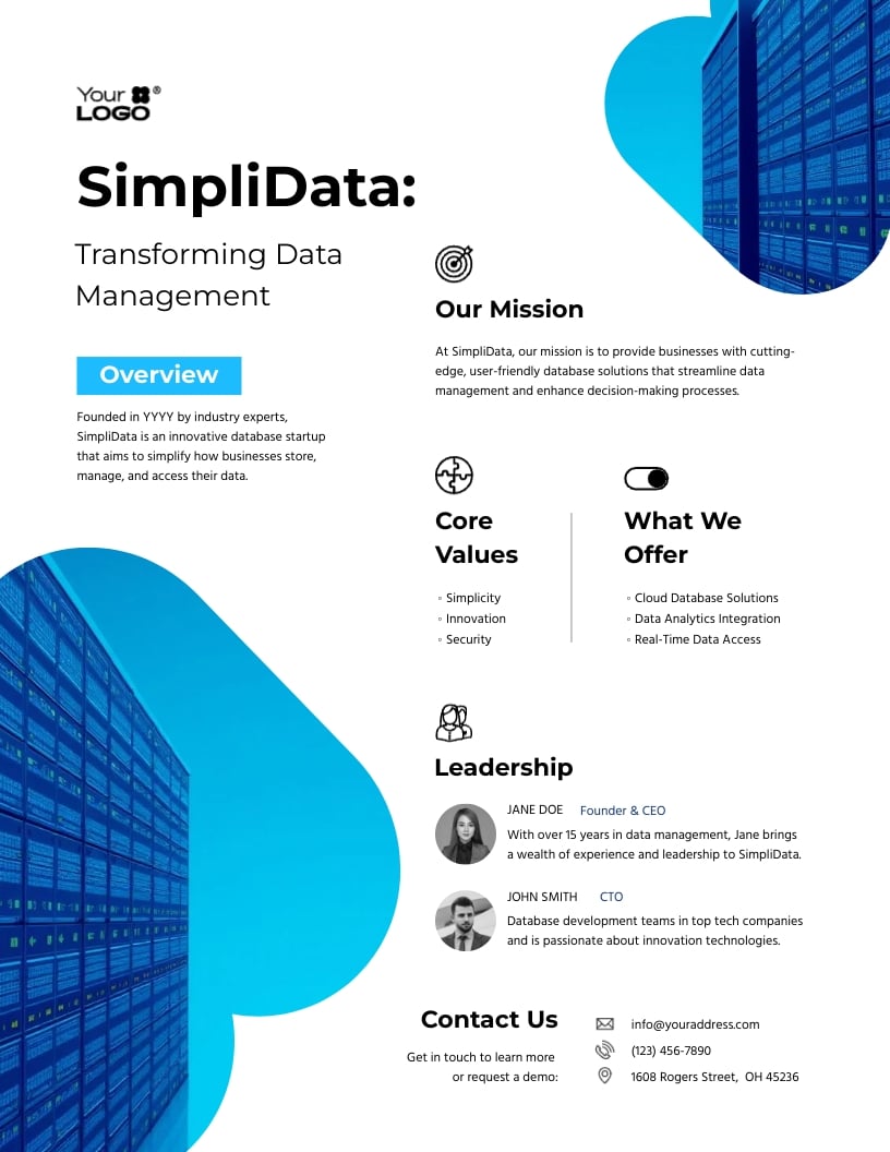 Startup Data One Pager Template