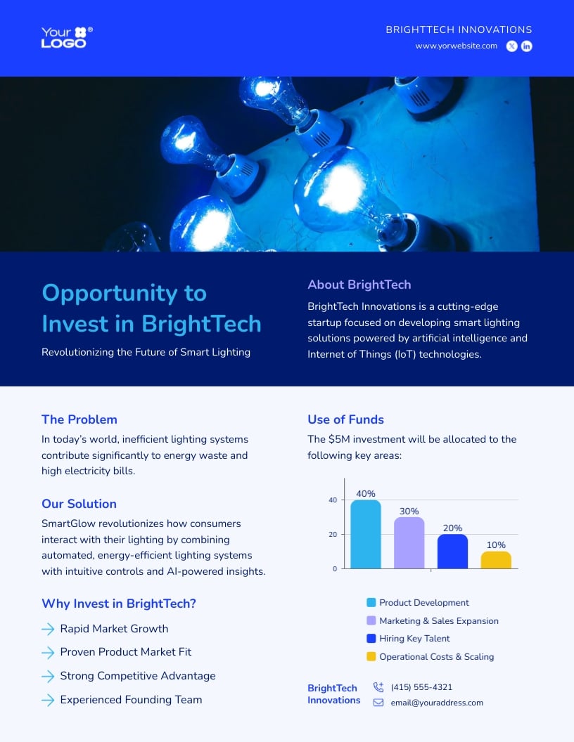 Startup Investment Pitch One Pager Template