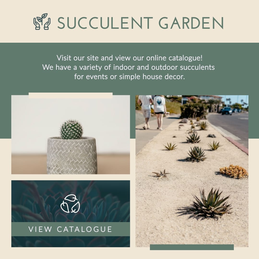 Succulent Garden Animated Squate Template