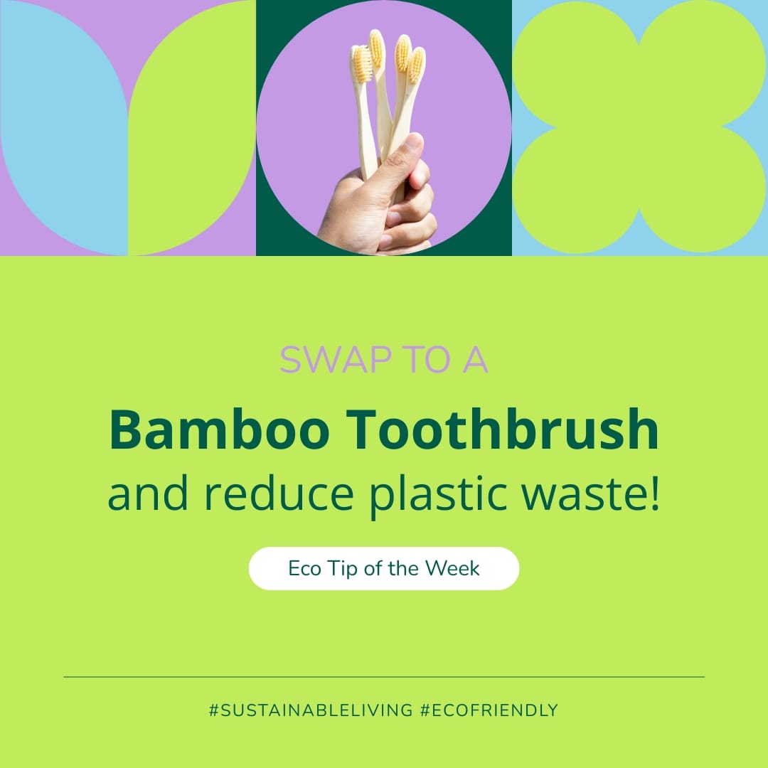 Sustainable Living Tips Instagram Post Template