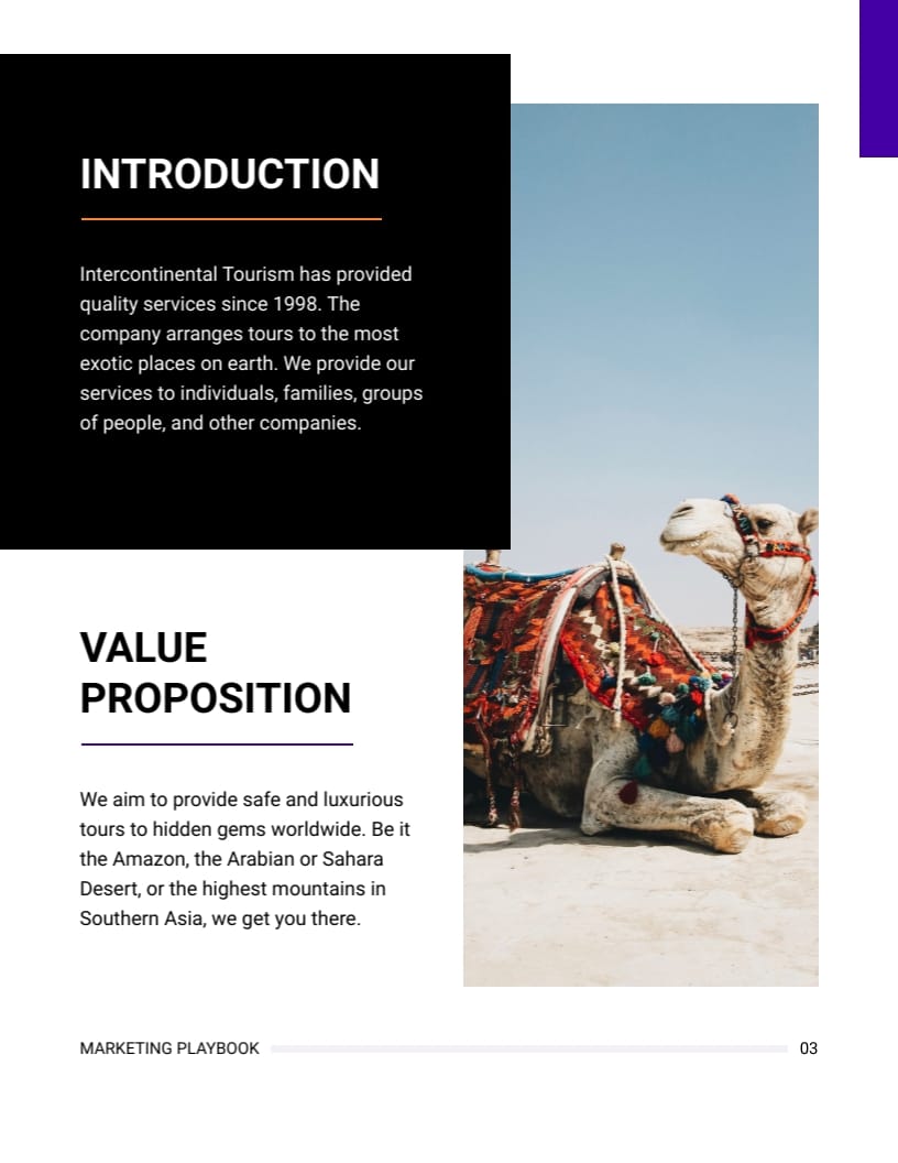Tourism Marketing Playbook Template | Visme