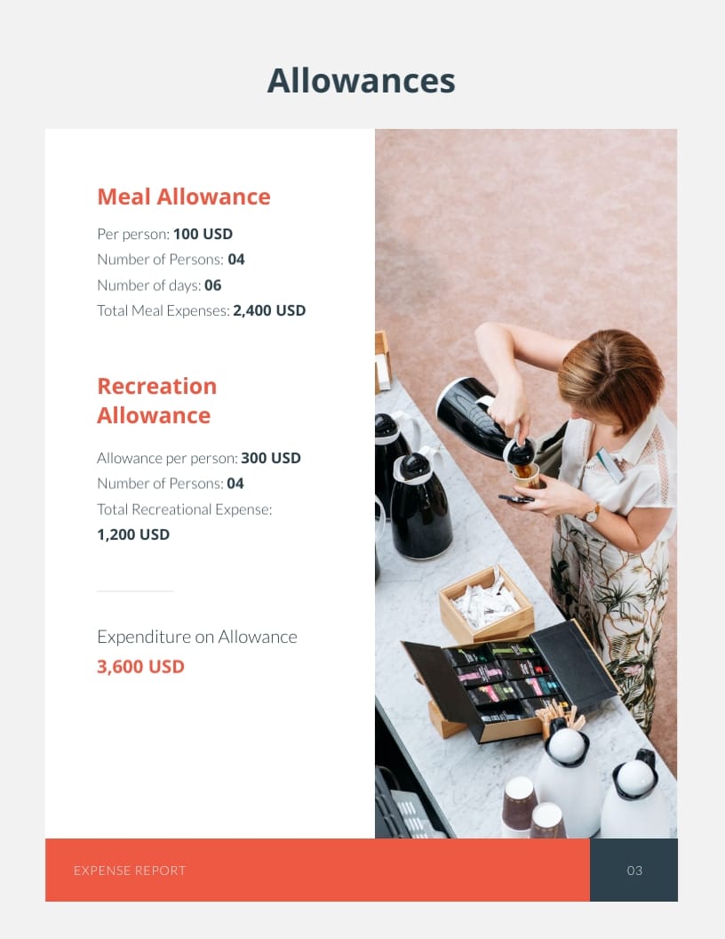 Travel Expense Report