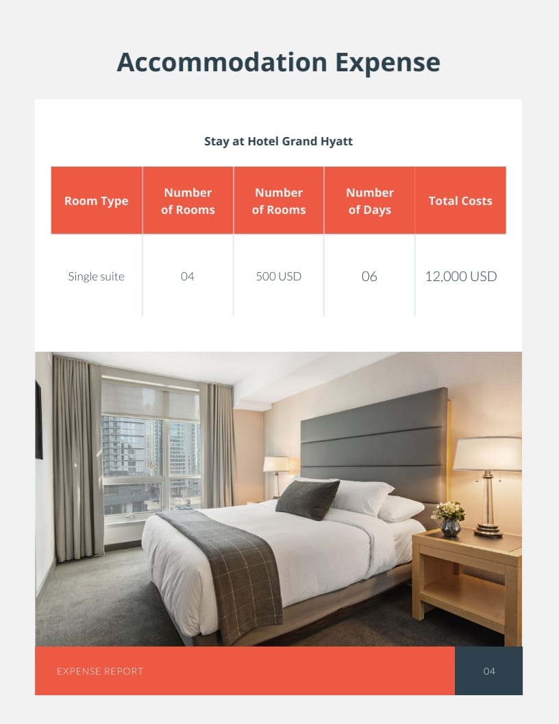 Travel Expense Report