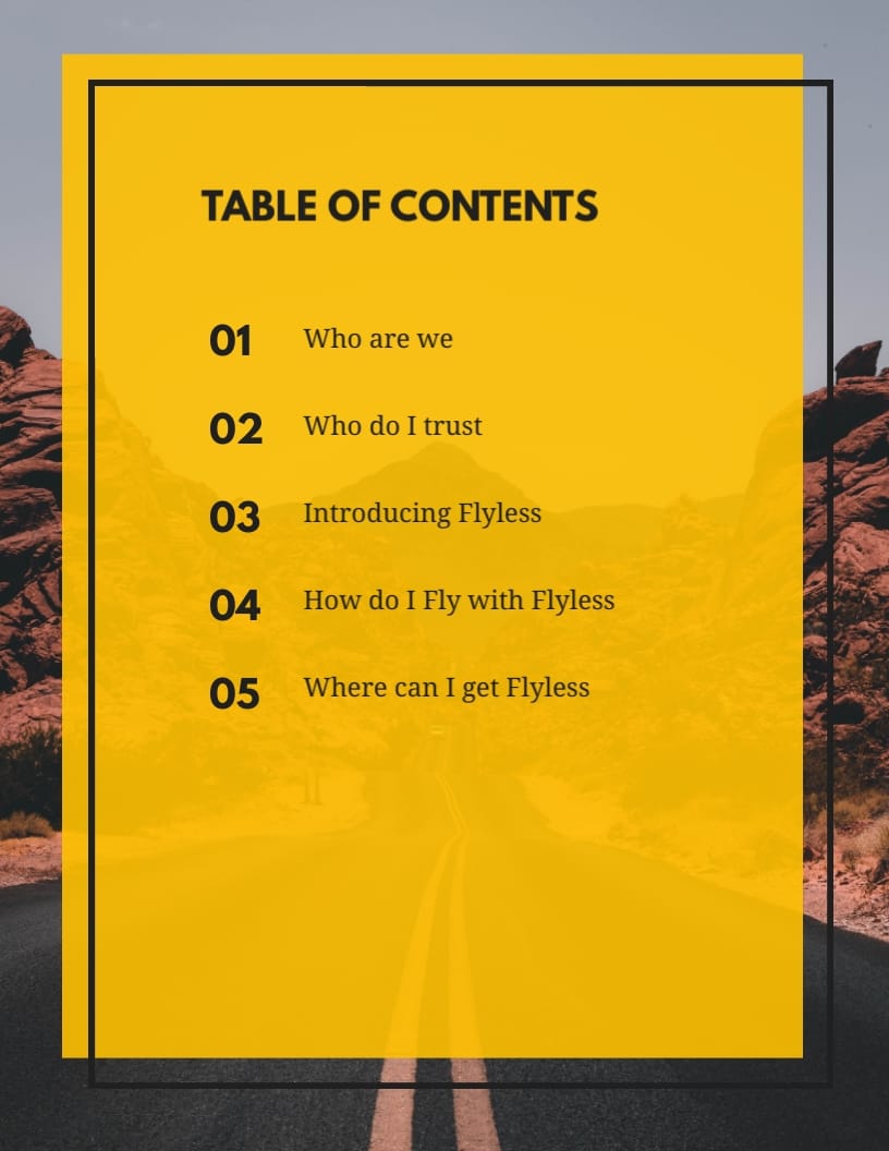 Travel App White Paper Template - Slide 2 Travel App White Paper Template - Slide 2