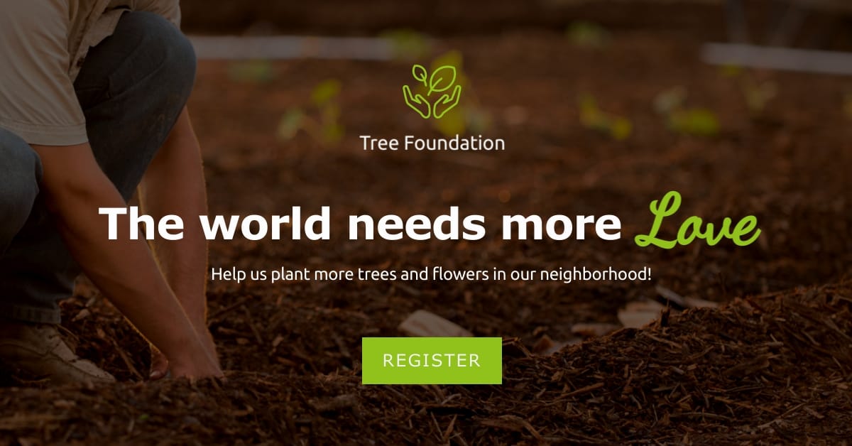 Tree Foundation Facebook Ad Template