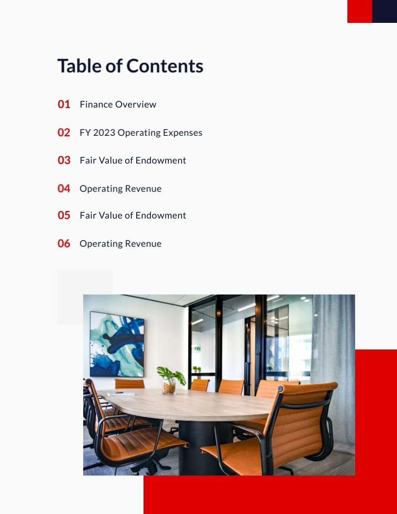 University Finance Report