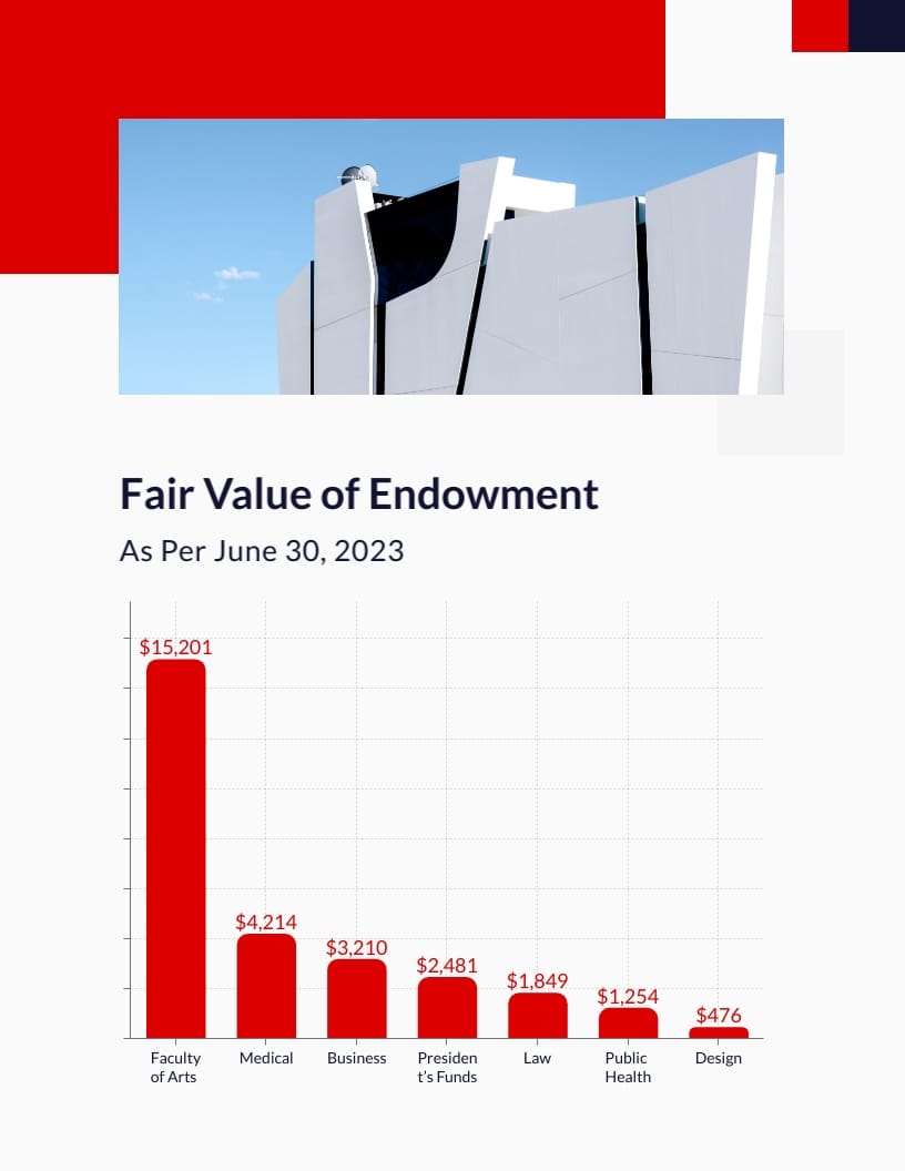 University Finance Report