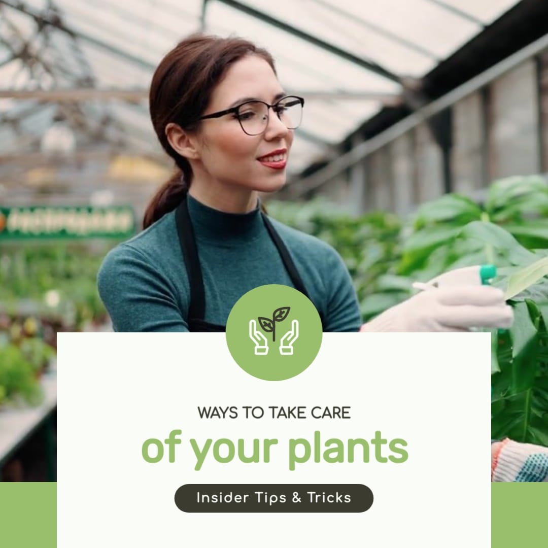 Ways To Take Care of Your Plants Video Intro Square Template