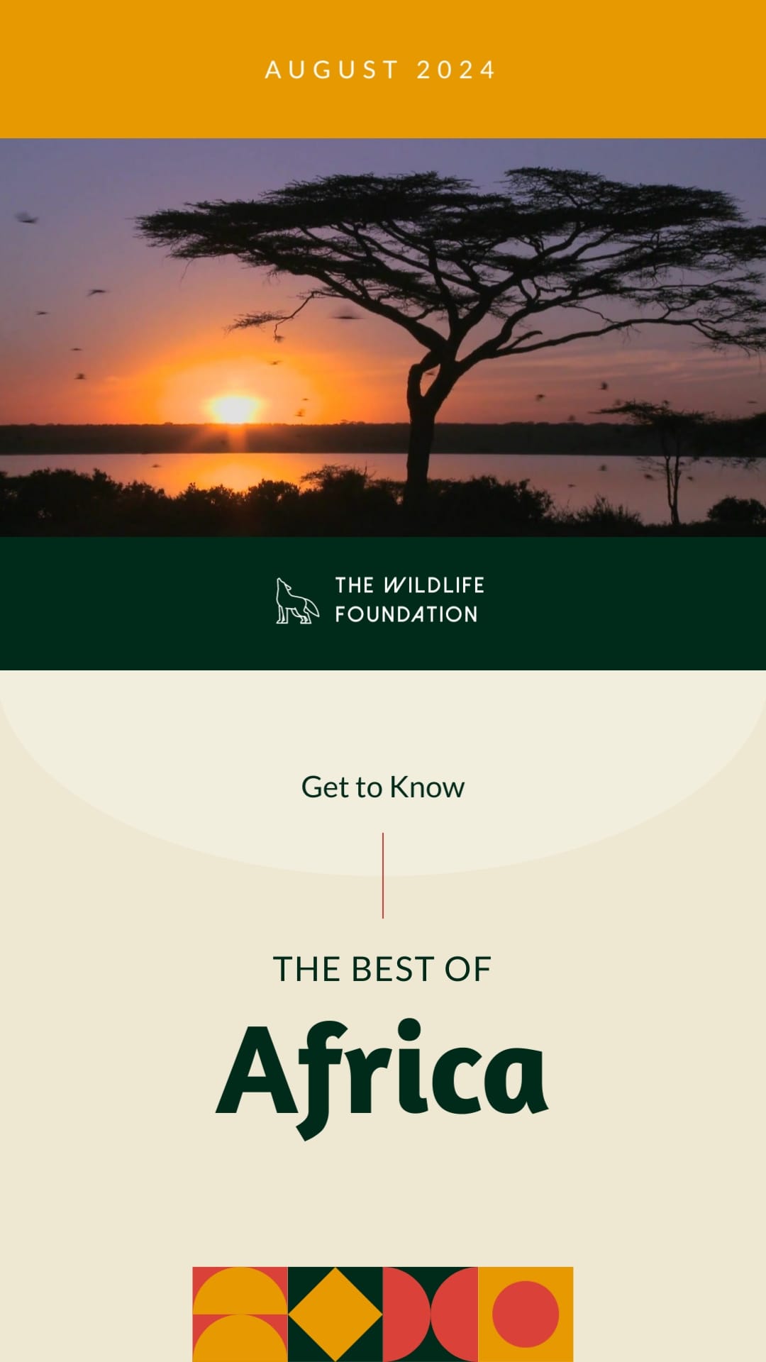 Wildlife Intro Vertical Template