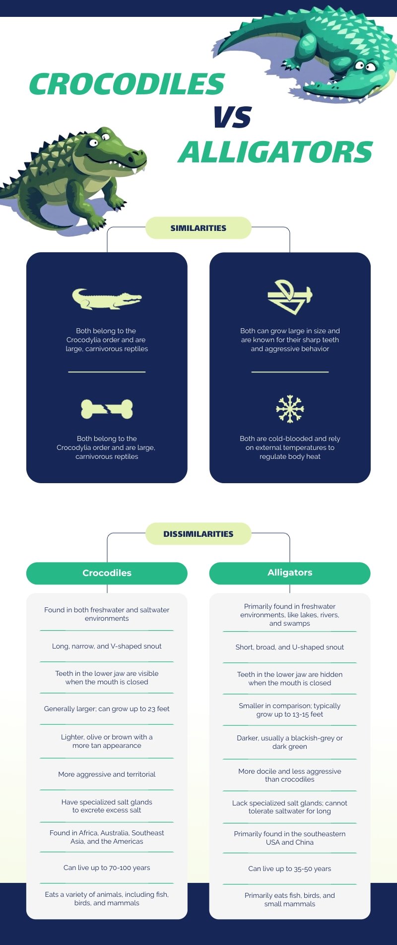 Compare and Contrast Outline Template