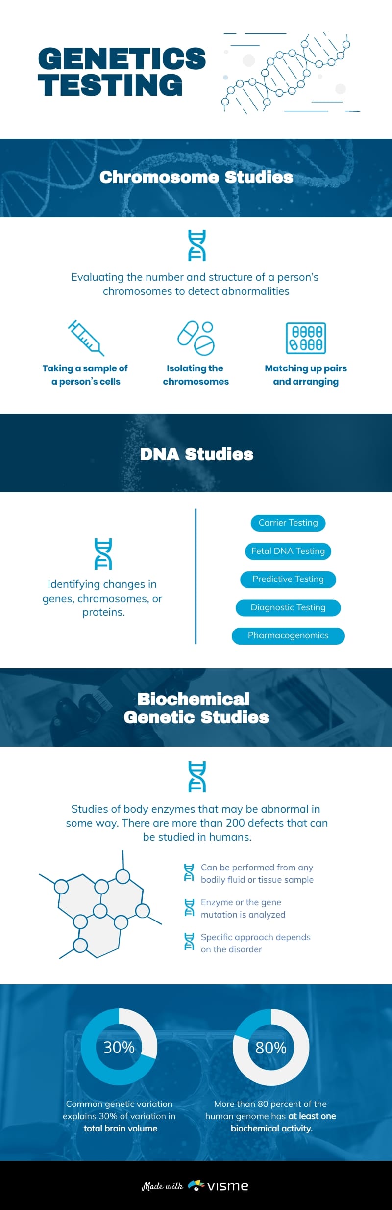 Genetics Testing Infographic Modern Template Genetics Testing Infographic Modern Template
