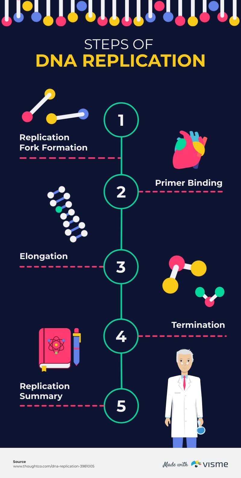 Dna Replication Process Steps DNA Replication Process With Diagrams Dna Replication Process Steps DNA Replication Process With Diagrams