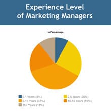 Experience Level of Marketing Managers Pie Chart Template