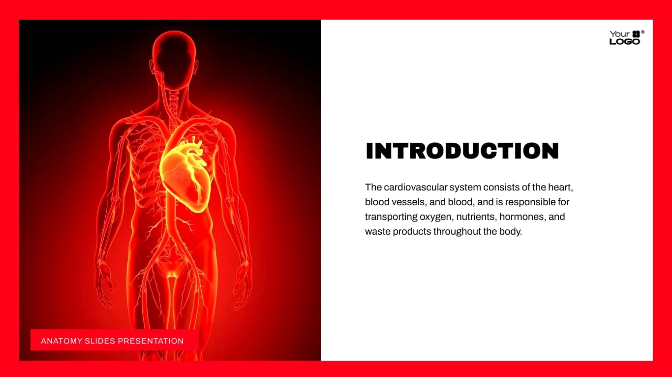 Anatomy Slides Presentation Template | Visme