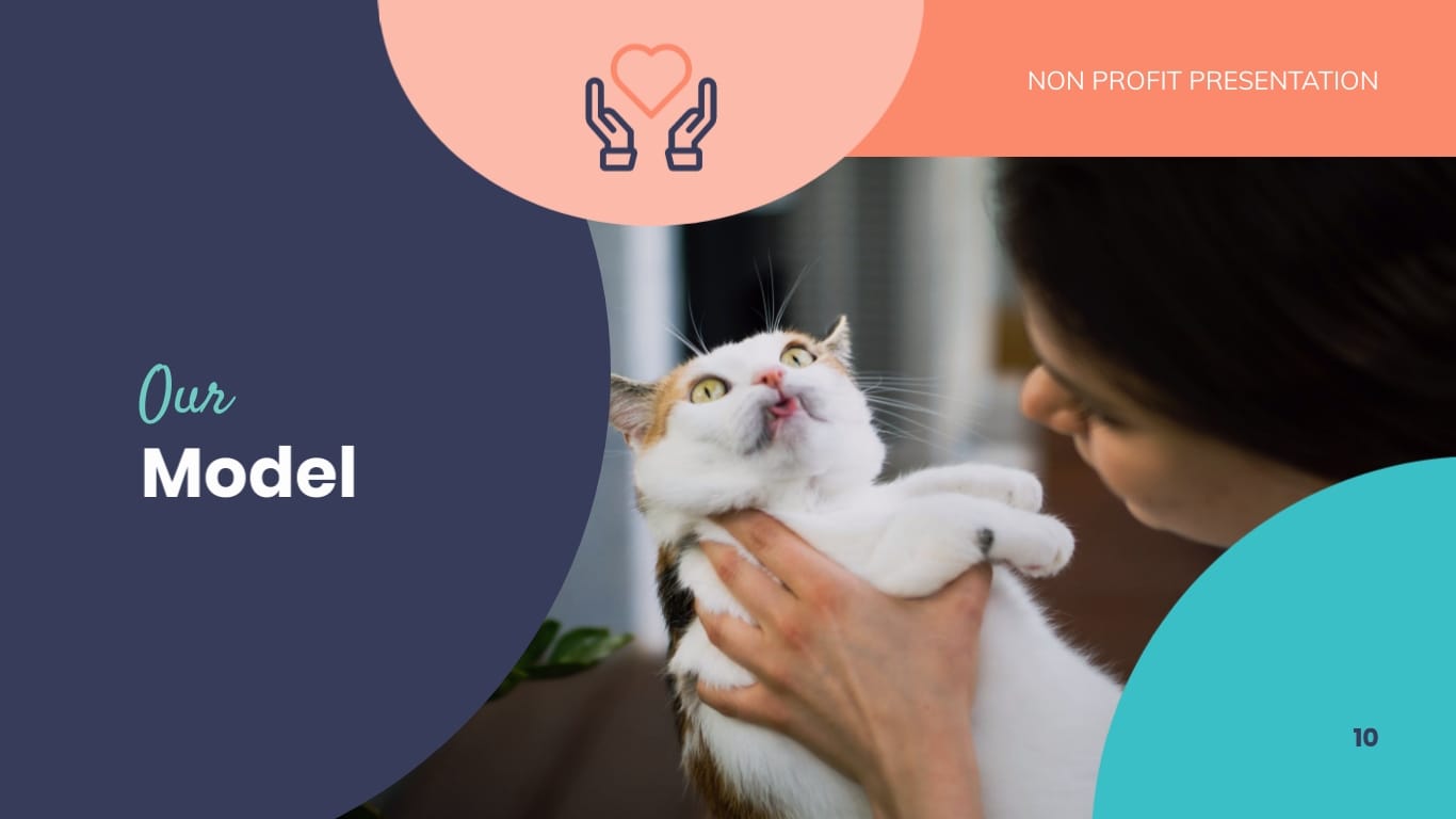 Animal Shelter Homes Non Profit Presentation Template - Slide 10 Animal Shelter Homes Non Profit Presentation Template - Slide 10