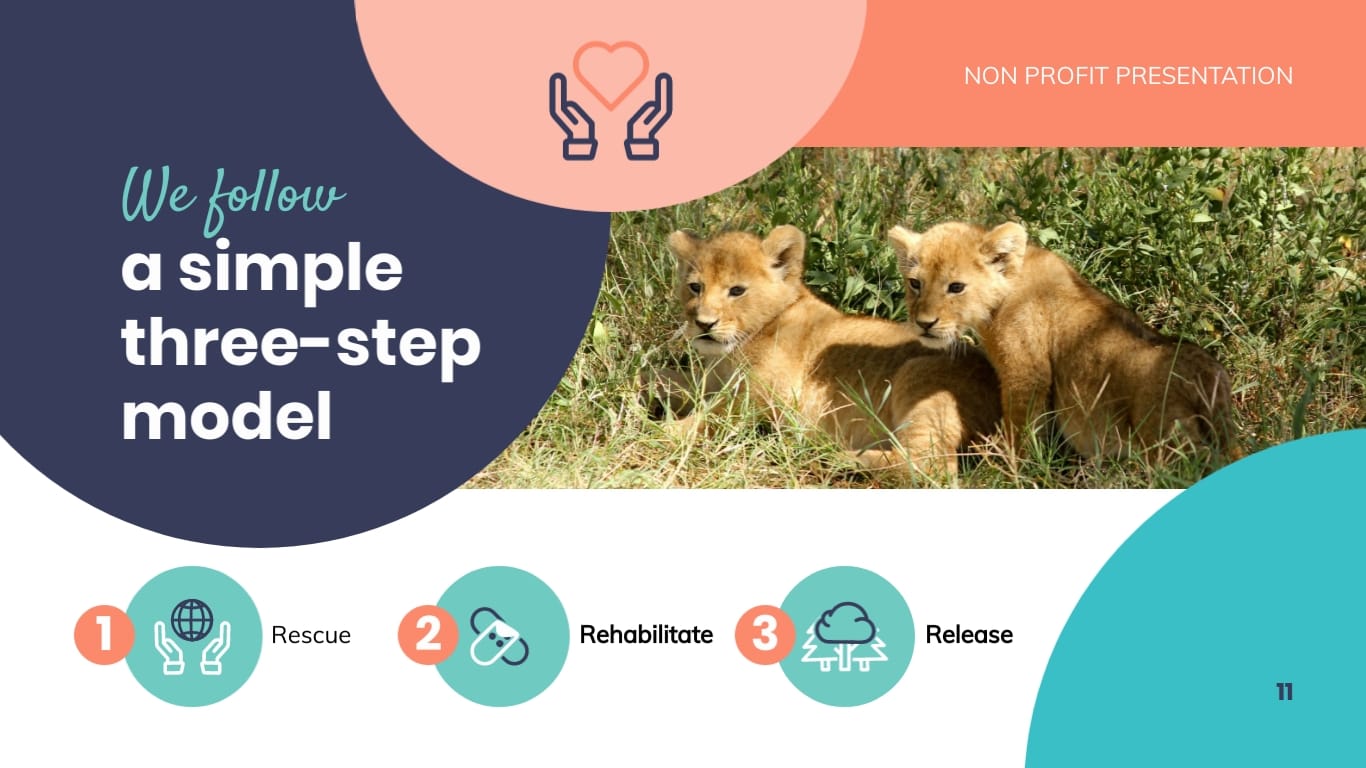 Animal Shelter Homes Non Profit Presentation Template - Slide 11 Animal Shelter Homes Non Profit Presentation Template - Slide 11