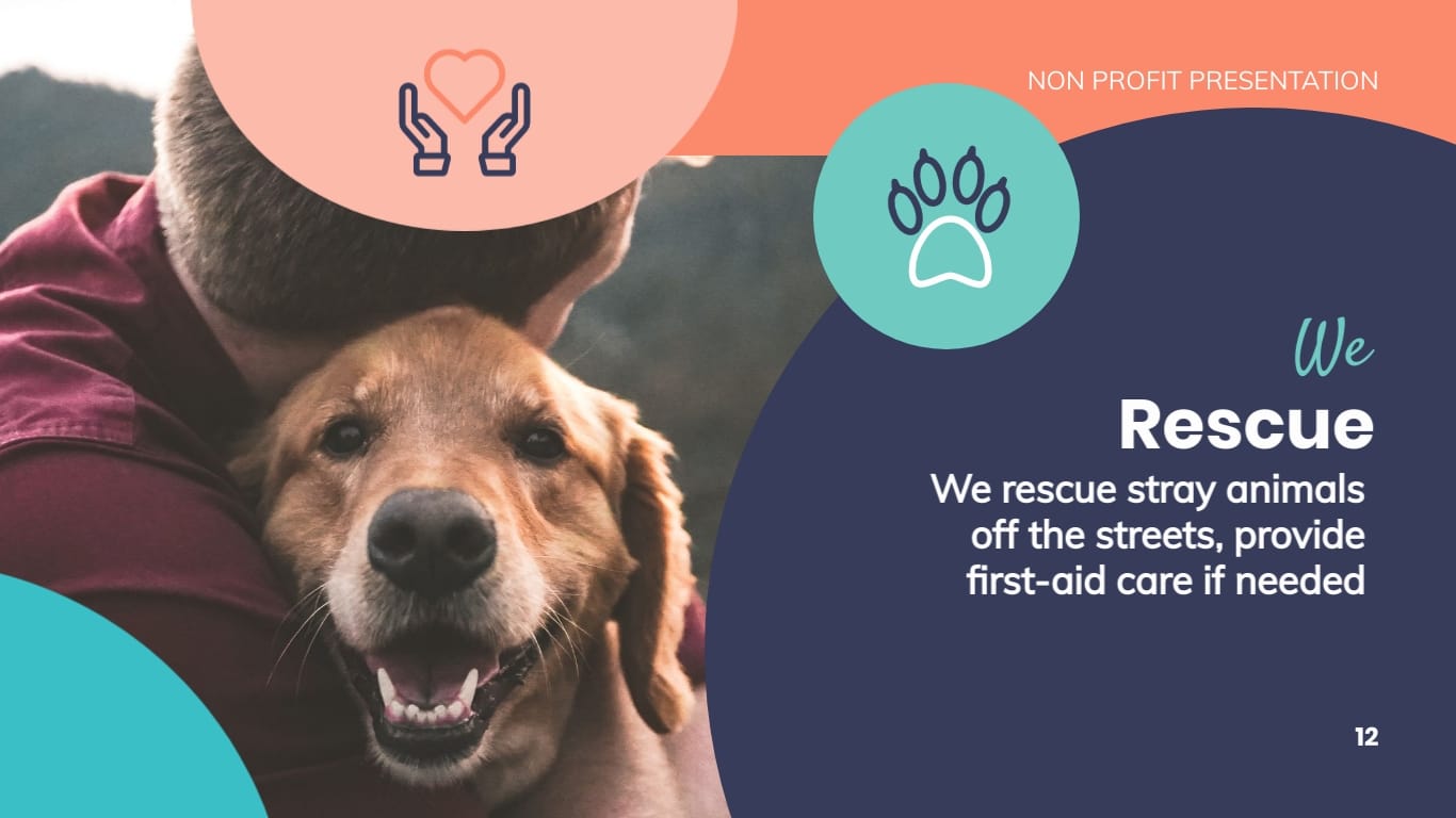 Animal Shelter Homes Non Profit Presentation Template - Slide 12 Animal Shelter Homes Non Profit Presentation Template - Slide 12