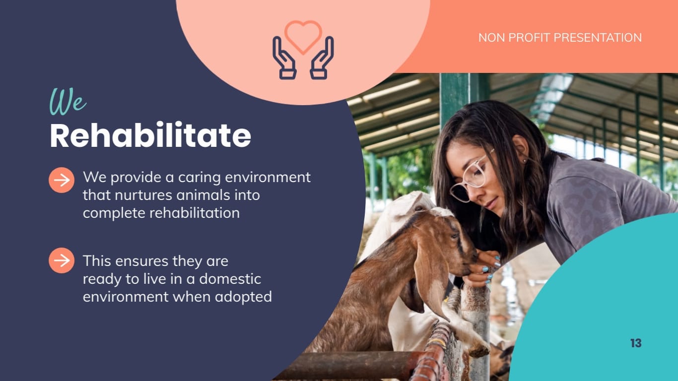 Animal Shelter Homes Non Profit Presentation Template - Slide 13 Animal Shelter Homes Non Profit Presentation Template - Slide 13