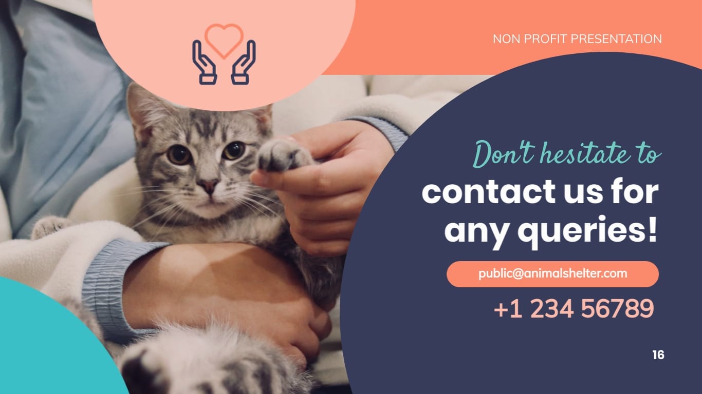 Animal Shelter Homes Non Profit Presentation Template - Slide 16 Animal Shelter Homes Non Profit Presentation Template - Slide 16
