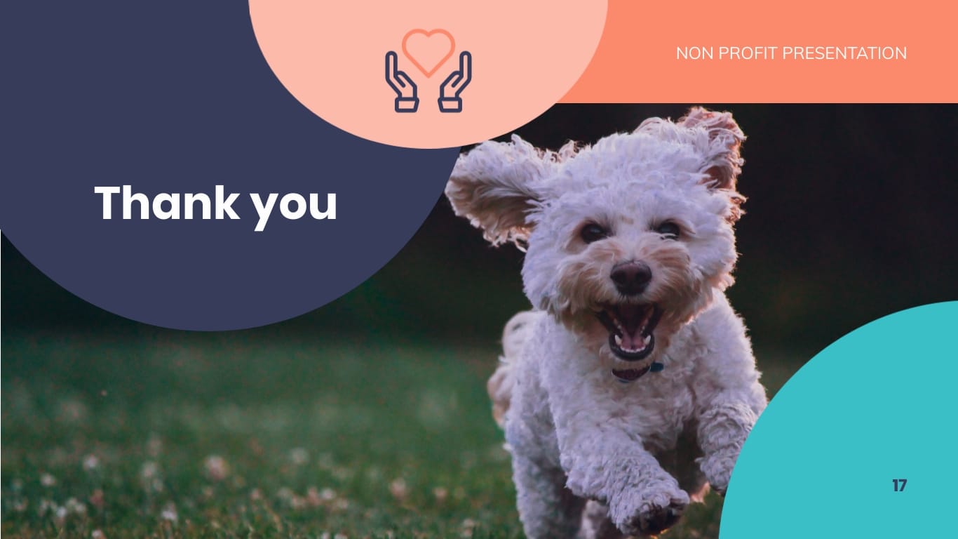 Animal Shelter Homes Non Profit Presentation Template - Slide 17 Animal Shelter Homes Non Profit Presentation Template - Slide 17