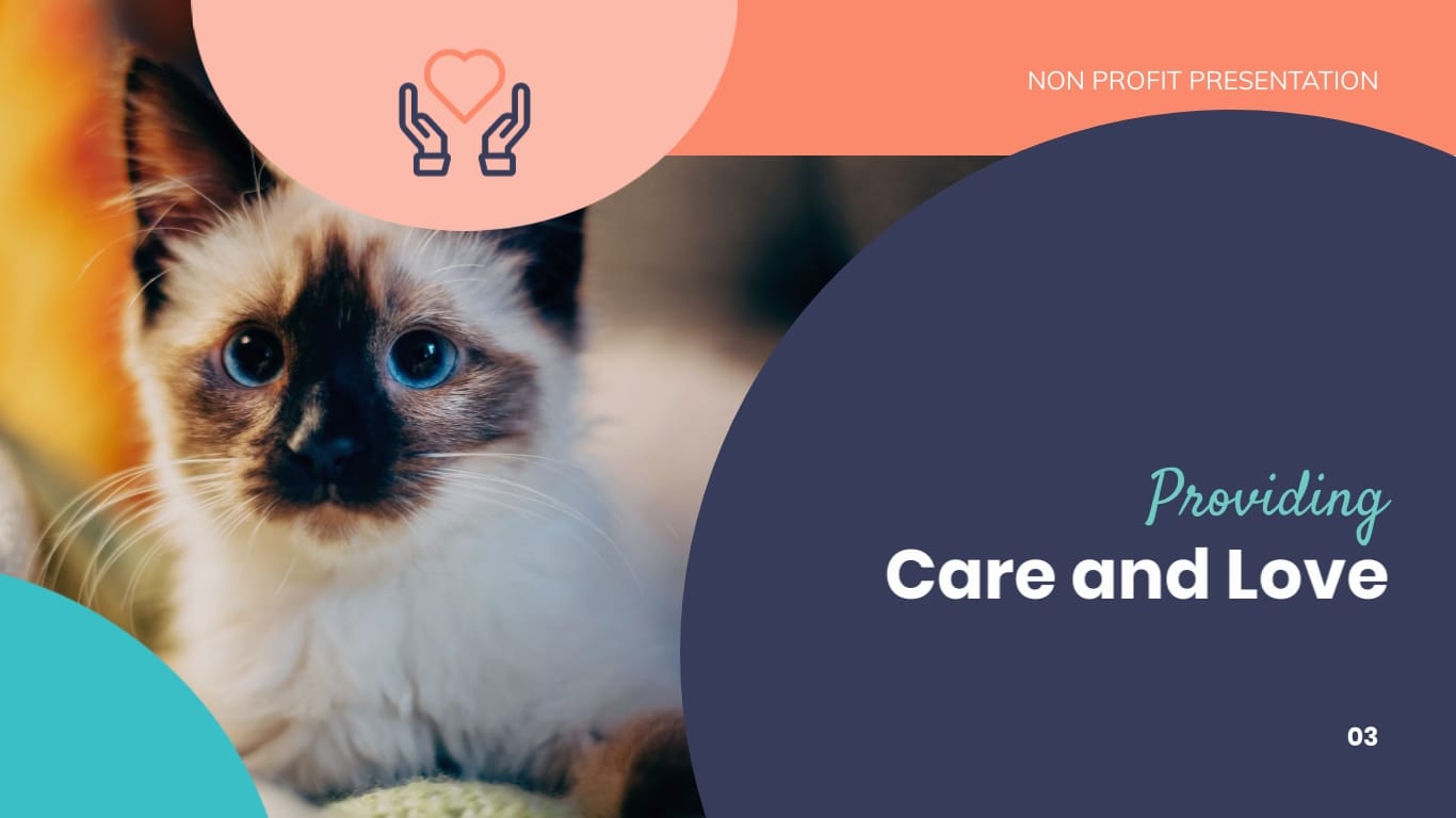 Animal Shelter Homes Non Profit Presentation Template - Slide 3 Animal Shelter Homes Non Profit Presentation Template - Slide 3