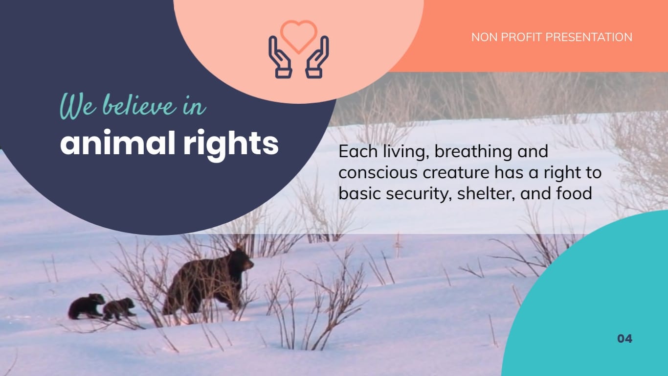 Animal Shelter Homes Non Profit Presentation Template - Slide 4 Animal Shelter Homes Non Profit Presentation Template - Slide 4