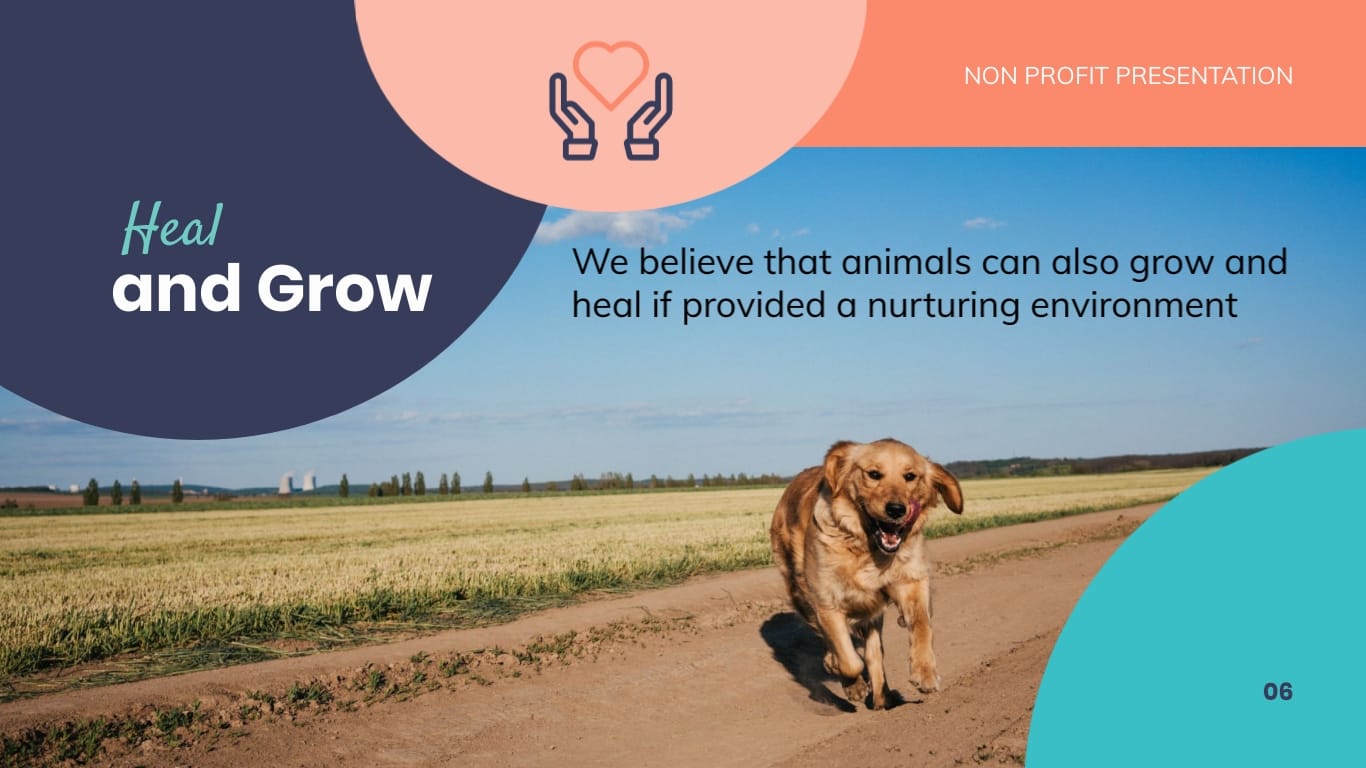 Animal Shelter Homes Non Profit Presentation Template - Slide 6 Animal Shelter Homes Non Profit Presentation Template - Slide 6