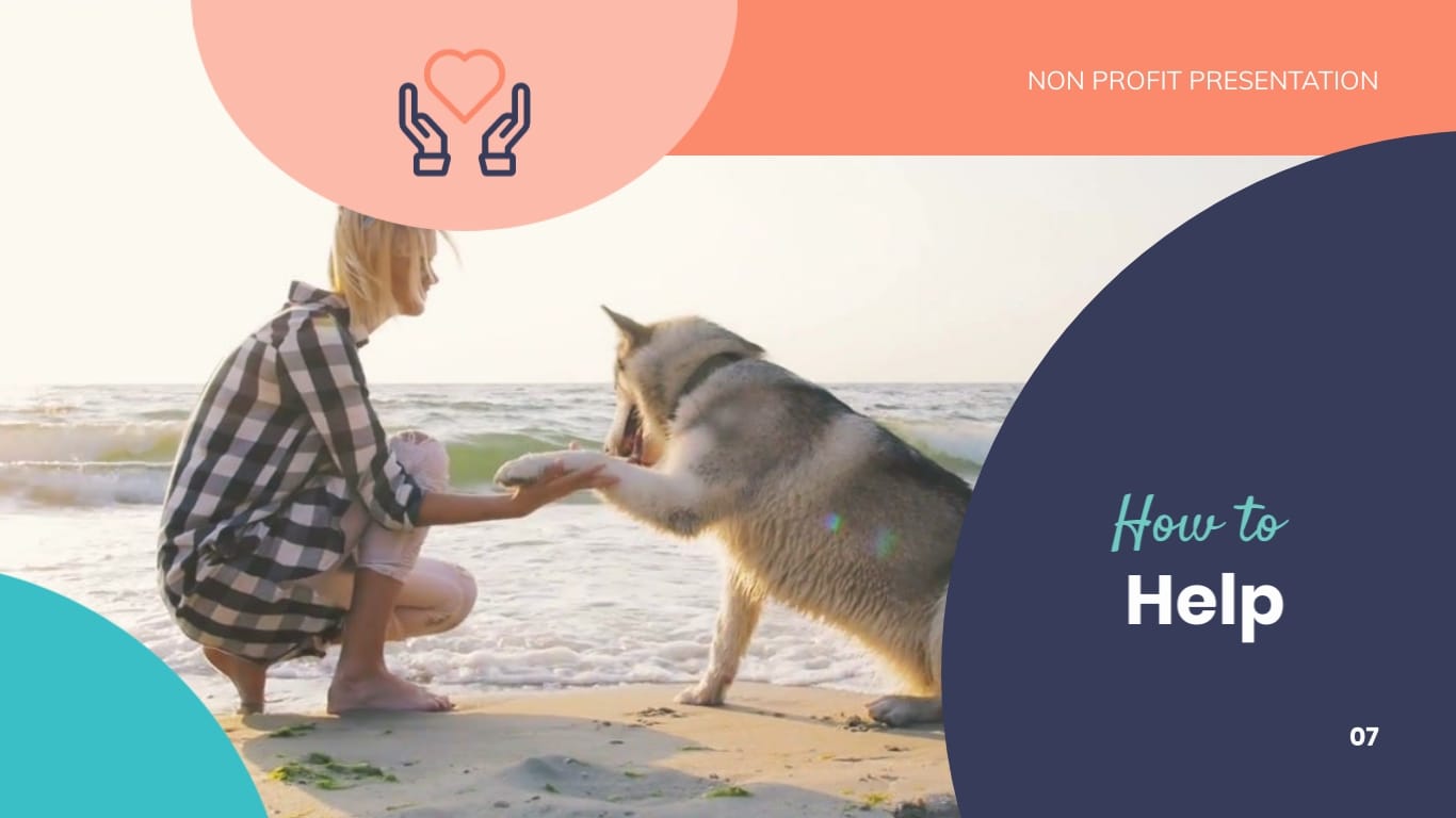 Animal Shelter Homes Non Profit Presentation Template - Slide 7 Animal Shelter Homes Non Profit Presentation Template - Slide 7