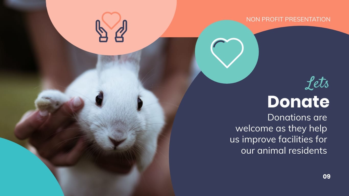 Animal Shelter Homes Non Profit Presentation Template - Slide 9 Animal Shelter Homes Non Profit Presentation Template - Slide 9