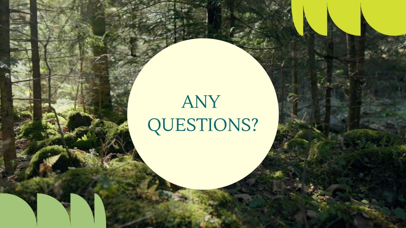 Documentary Pitch Deck Template - Slide 17 Documentary Pitch Deck Template - Slide 17