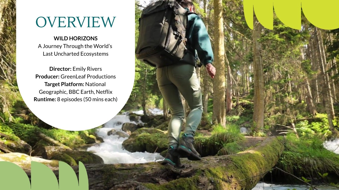 Documentary Pitch Deck Template - Slide 3 Documentary Pitch Deck Template - Slide 3