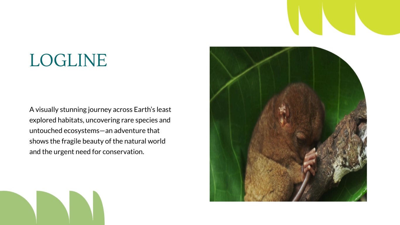 Documentary Pitch Deck Template - Slide 4 Documentary Pitch Deck Template - Slide 4