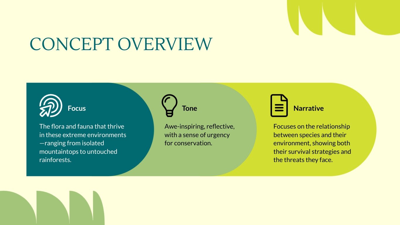 Documentary Pitch Deck Template - Slide 6 Documentary Pitch Deck Template - Slide 6