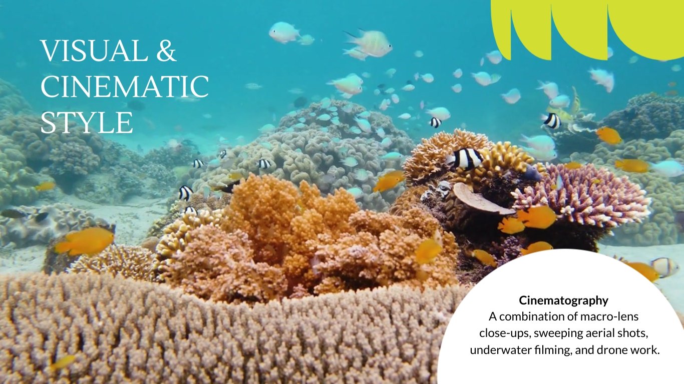 Documentary Pitch Deck Template - Slide 9 Documentary Pitch Deck Template - Slide 9