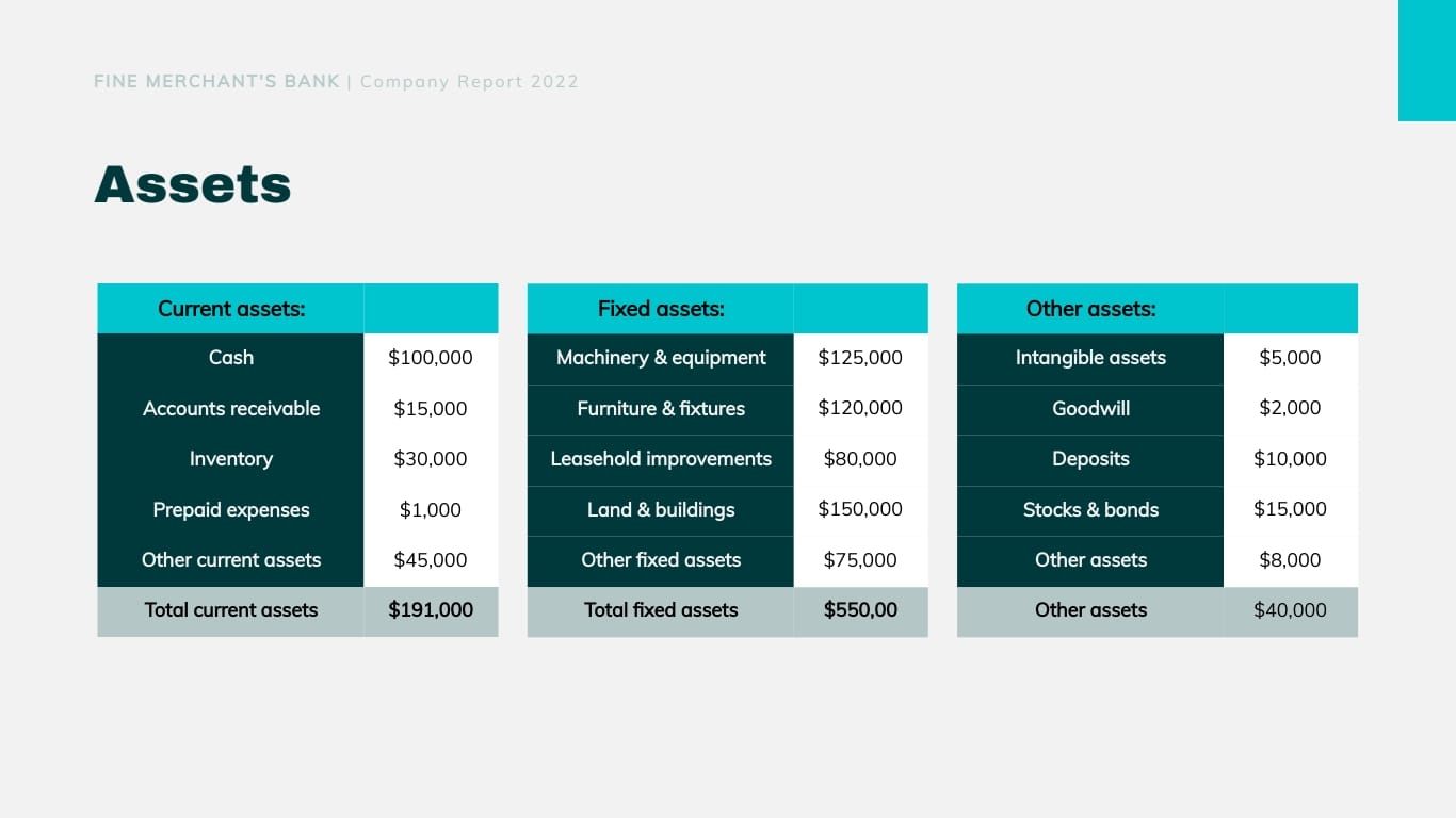Financial Company Report Presentation Template - Slide 13 Financial Company Report Presentation Template - Slide 13