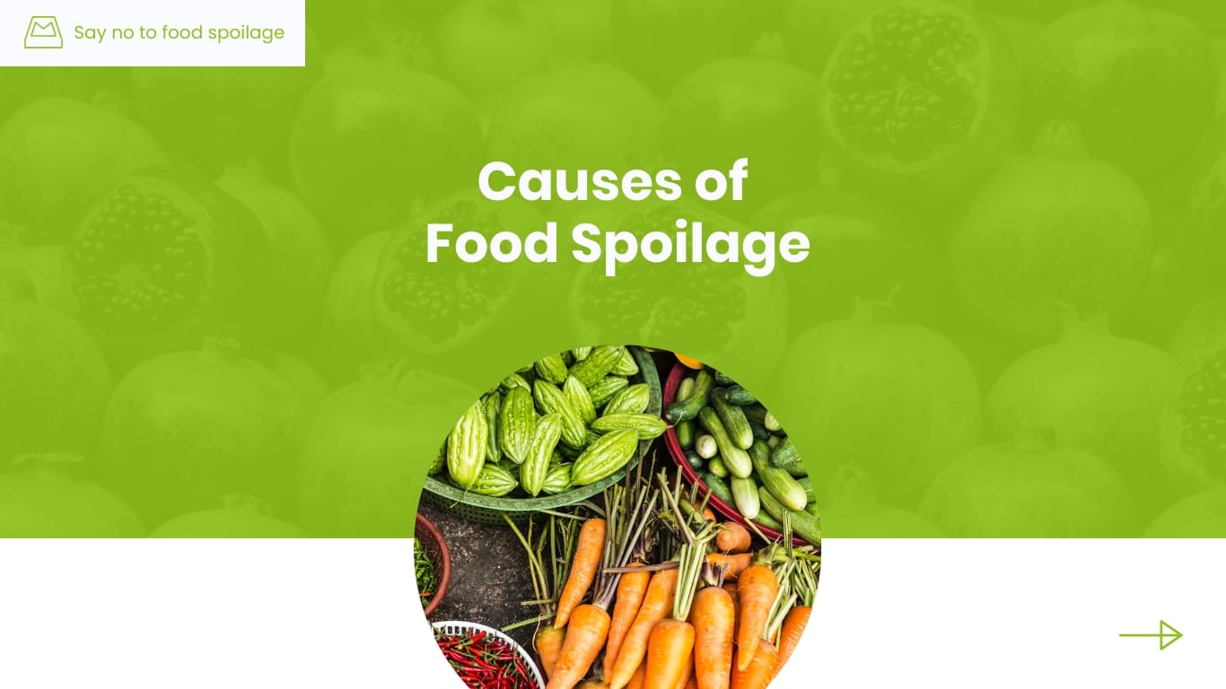 Food Storage Presentation Template - Slide 4 Food Storage Presentation Template - Slide 4