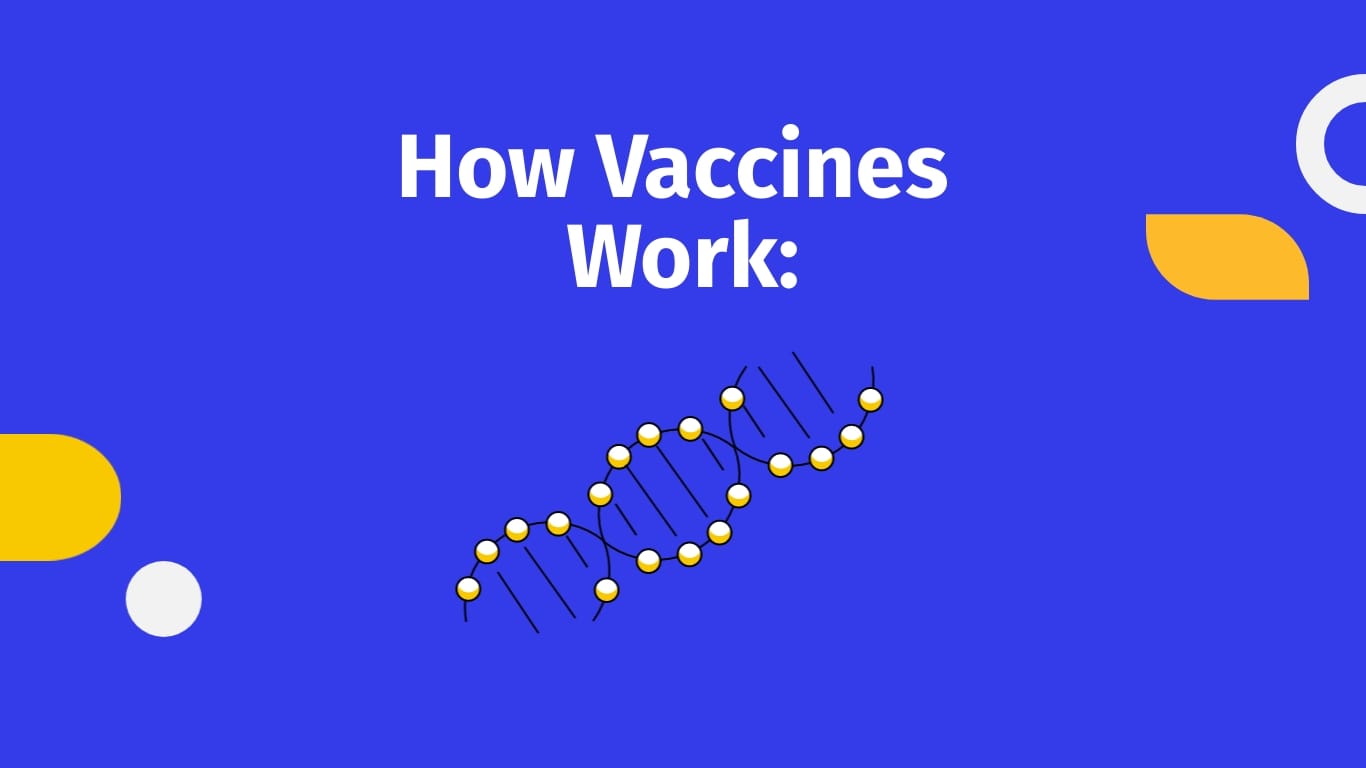 Health Awareness Presentation Template - Slide 13 Health Awareness Presentation Template - Slide 13