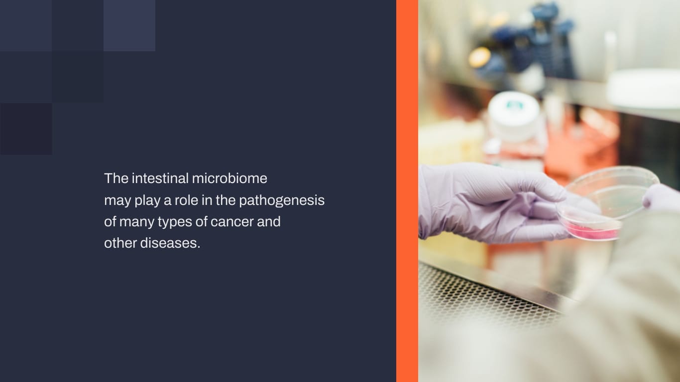Lab Research Presentation Template - Slide 4 Lab Research Presentation Template - Slide 4