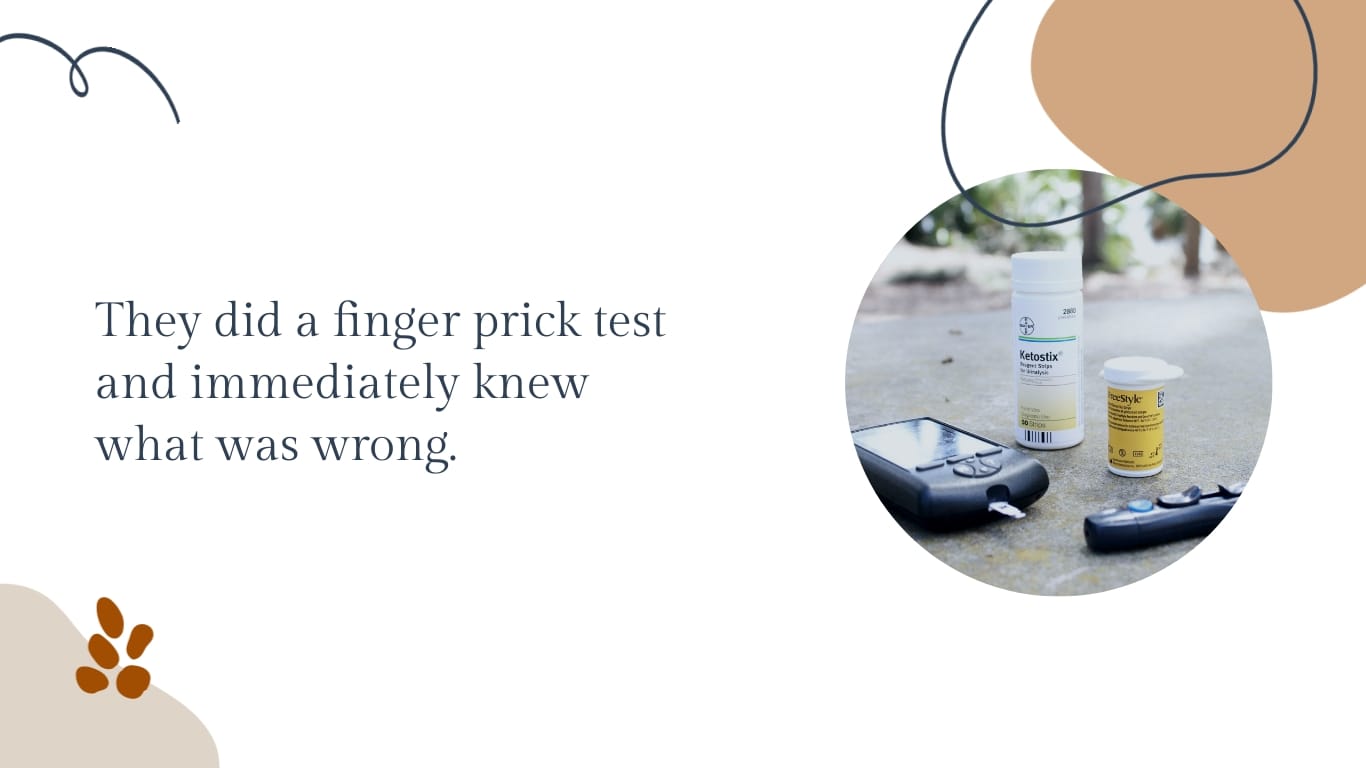 Life Story Keynote Presentation Template - Slide 8 Life Story Keynote Presentation Template - Slide 8