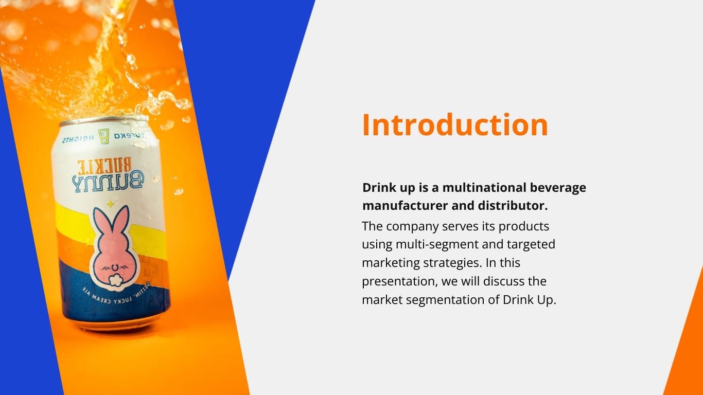 Market Segmentation Presentation Template - Slide 4 Market Segmentation Presentation Template - Slide 4