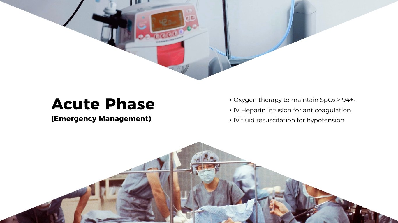 Medical Case Study Presentation Template - Slide 13 Medical Case Study Presentation Template - Slide 13